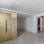Milailea Apartament